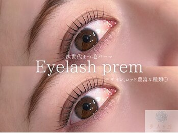 美人ヶ丘 三軒茶屋/【まつげパーマ】まつ毛パーマ