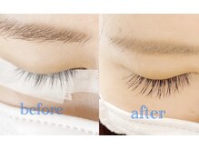 シエル(Ciel)/フラットラッシュ　120本