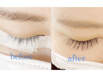 シエル(Ciel)/フラットラッシュ 120本