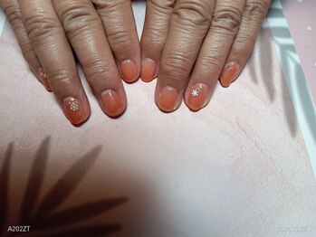 イーズ(ease)/アプリコット　シール