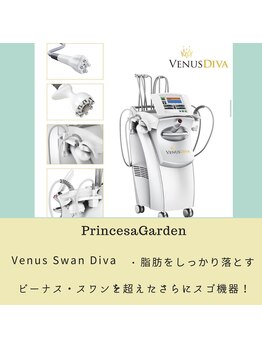 プリンセサガーデン(Princesa Garden)/日本では希少ビーナス・ディーバ