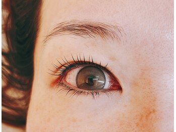 ケイト ビューティー(KATE Beauty)/まつげパーマ