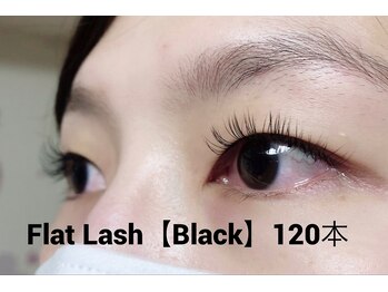 ハーゼ(Hase)/Flat Lash 120本