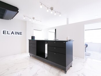 エレイン(ELAINE)/