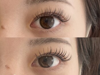 エルドット 八尾店(L.)/フラットラッシュ150本