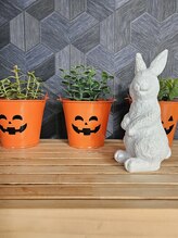 ミホズルーム(Miho‘s room)/ちょこっとハロウィン