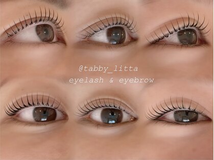 タビーリッタ(tabby litta)の写真