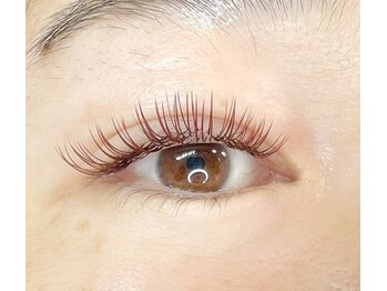 レプレ/カラーバインドロック120束