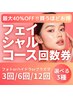選べる3種のフェイシャルコース【12回分】回数券