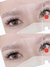 ラ レーヌ(La-leine)/ダブルフラット120束