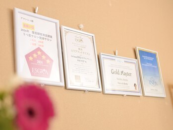 アマンシィ(Amincir)/エスグラコンテスト出場