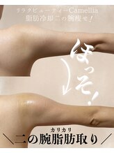 リラクビューティー カメリア(Camellia)&nbsp;脂肪冷却 痩身