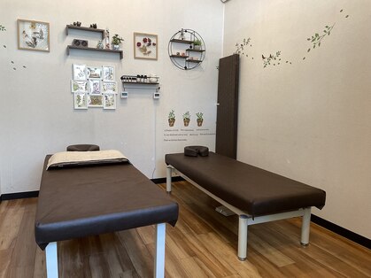 癒しのふくろう堂の写真