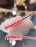 【平日限定】まつ毛パーマ|持続重視×似合わせ設計