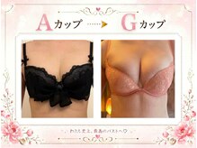 リリ(RILI)の雰囲気（自社開発！脂肪細胞を増やすエッセンスを導入♪【バストアップ】）