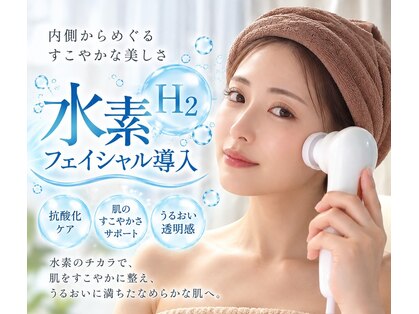 エナガ(enaga)の写真