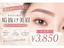 ルプリュシュ ルフレ(Le plus reflet)