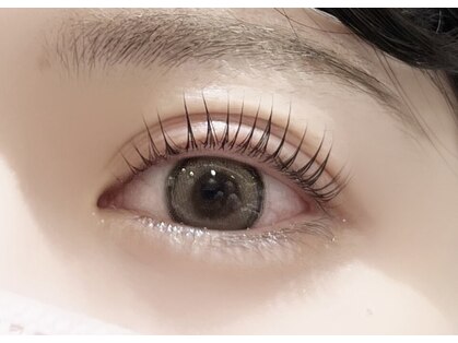 ハク(haku.)の写真