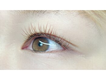 フーム(whom)/カラーフラットラッシュ100本