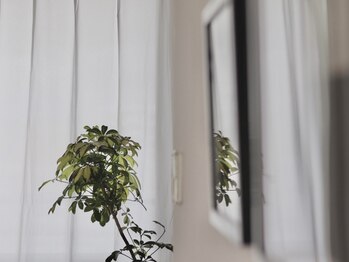 ゆずのはな 平尾店/観葉植物はリラックス効果あり