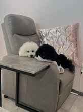 アイリス(Iris)&nbsp;くろ しろ