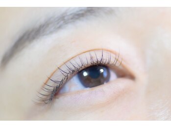 光/フラットマットラッシュ100本