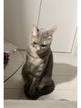 マキア 新宿店(MAQUIA)&nbsp;実家にかわいい猫います^ ^