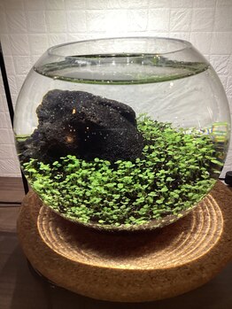 もみほぐしのらく天 上田店/