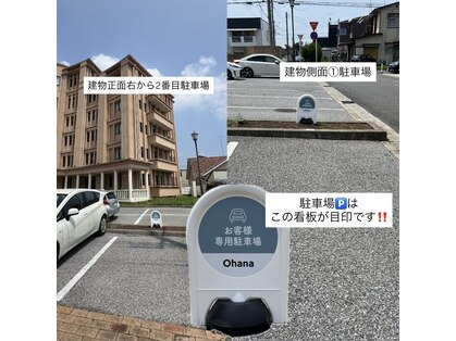 オハナ(Ohana)の写真