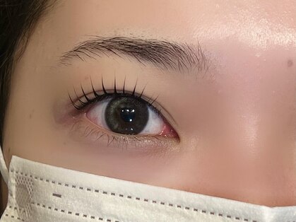 メリーロウ(meryllow)の写真