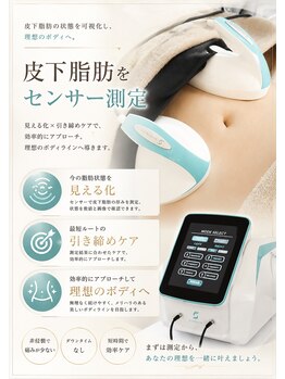 ぷれじーる/最強痩身マシンソニーク導入