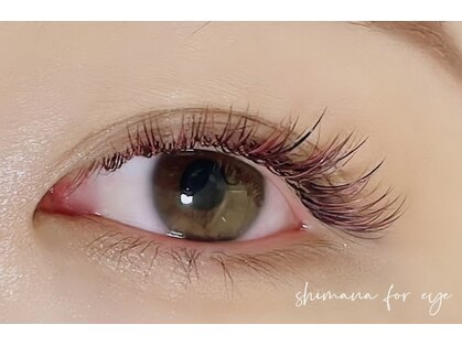 シマナ フォー アイ(shimana for eye)の写真