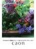 お誕生月DM特典１　シーズナルボディ120分  22,000円⇒18,700円
