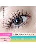 【LEDで装着】束感コーティング仕上げ　フラットラッシュ120本 8700円