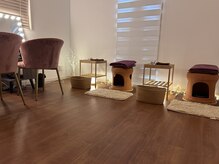 サロン エム(SALON M)