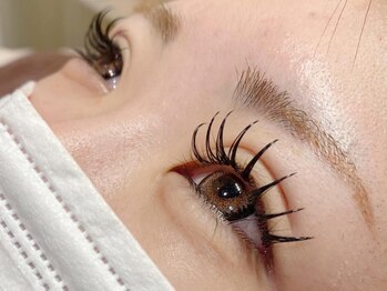 ザラボアングゥ(The Labo ungu)/【パリエク】