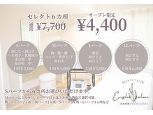 エンシサロン/都度払いセレクト6箇所
