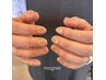 【うるぷる☆場面を選ばない王道!!】マグネットネイル(ワンカラー) ¥6,000
