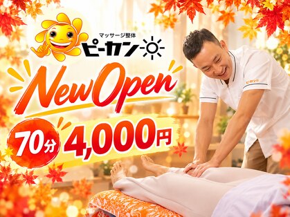 ピーカン 手稲店の写真