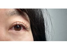 コリー(Cory.)/LEDフラットラッシュ100本