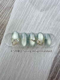 Spring design standard