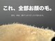 エンブロウスキン 札幌(en BROW & SKIN)の写真