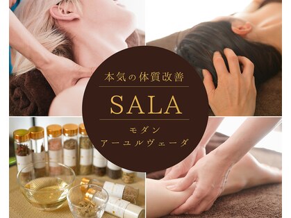 サラ(SALA)の写真