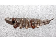 ラウレアルア(Laure’a lua)/ごろっとシェルネイル