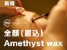 【新規】Amethyst-アイブロウWax(全顔+眉)（90分）￥16,500→￥9,900