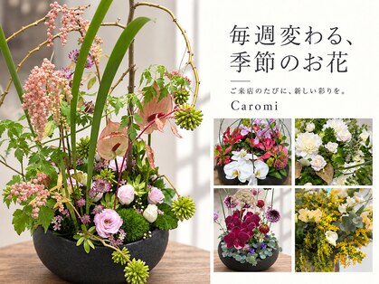 カロミ(Caromi)の写真