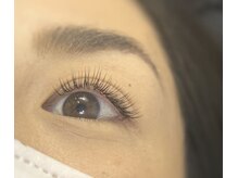 サロンドフェルメール/バインドロック８０束