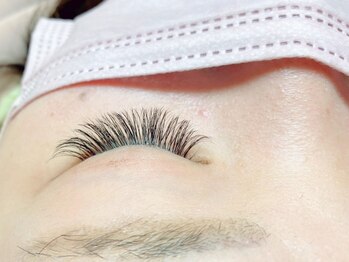 スターズ(Stars)/3Dボリュームラッシュ140束