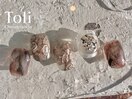 ニュアンスネイル