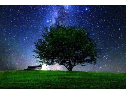 ヘッドステラ 吉祥寺(Head Stellar)の写真